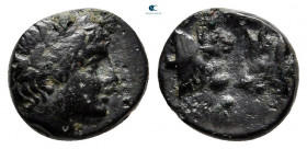 Mysia. Pergamon circa 310-282 BC. Bronze Æ