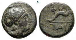 Kings of Pergamon. Pergamon. Philetairos 282-263 BC. Bronze Æ