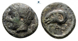 Troas. Gargara circa 400-300 BC. Bronze Æ