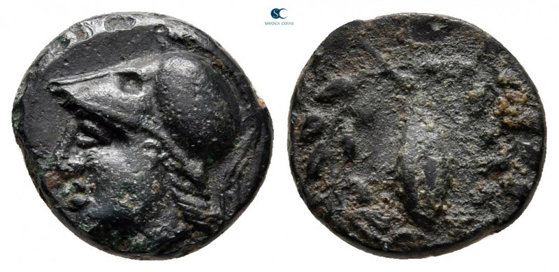 Aiolis. Elaia circa 340-300 BC. 
Bronze Æ

11 mm, 1,41 g



nearly very f...