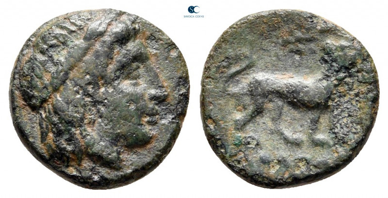 Ionia. Miletos circa 259-246 BC. 
Bronze Æ

11 mm, 1,13 g



very fine