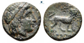 Ionia. Miletos circa 259-246 BC. Bronze Æ