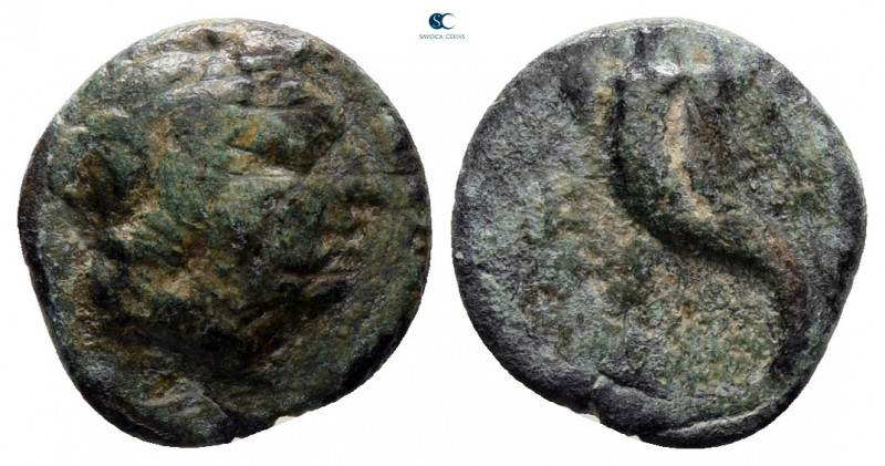 Caria. Kaunos circa 350-300 BC. 
Bronze Æ

11 mm, 1,18 g



fine