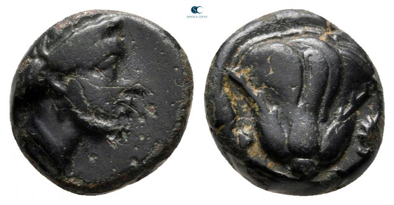 Islands off Caria. Rhodos circa 400-300 BC. 
Bronze Æ

10 mm, 1,47 g



v...
