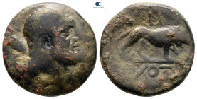 Kings of Galatia. Amyntas 36-25 BC. Bronze Æ