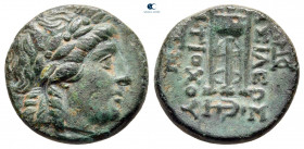 Seleukid Kingdom. Sardeis. Antiochos II Theos 261-246 BC. Bronze Æ