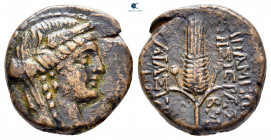 Seleucis and Pieria. Apameia circa 70-50 BC. Bronze Æ