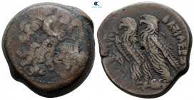 Ptolemaic Kingdom of Egypt. Alexandria. Ptolemy VIII Euergetes II (Physkon) 145-116 BC. Bronze Æ