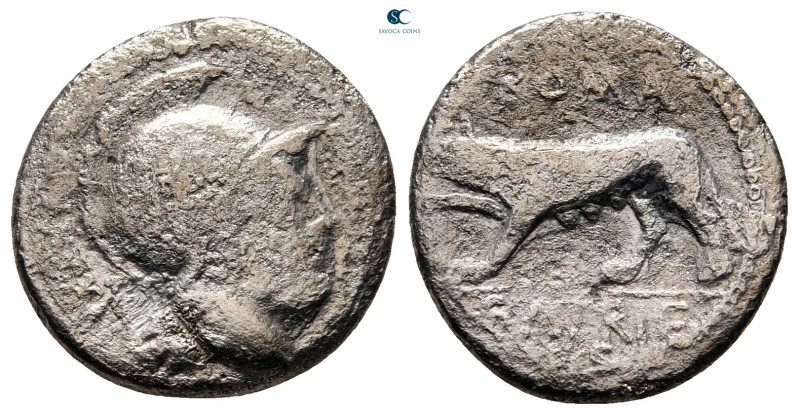 P. Satrienus 77 BC. Rome
Denarius AR

17 mm, 3,22 g



fine