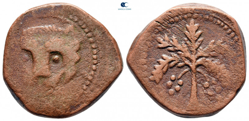 Italy. Kingdom of Sicily. Messina. William II (the Good) AD 1166-1189. 
Follaro...