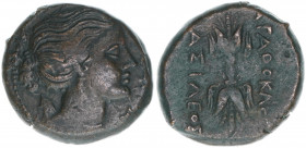 Syrakus - Agathokeles 310-304 BC
Griechen. Bronzemünze. 21mm
8,22g
CNS 138
ss