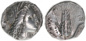 Lukanien Metapont
Griechen. Stater, 330-300 BC. 7,73g
ss+