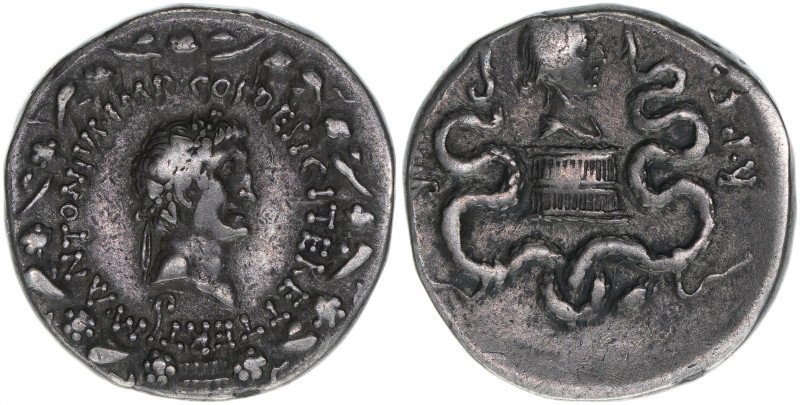 Marcus Antonius und Octavia
Römisches Reich - Republik. Cistopher, 39 BC. 12,5g
...