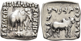 BAKTRIA, Greco-Baktrian Kingdom. Apollodotos I, circa 174-165 BC. Drachm (Silver, 15x15 mm, 2.39 g, 12 h), uncertain mint in the Paropamisadai or west...