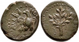 CARIA. Alabanda. Pseudo-autonomous issue. Hemiassarion (Bronze, 15 mm, 2.34 g, 11 h), circa 2nd-3rd centuryiesAD. ΑΛΑΒΑΝΔЄ[ΩΝ] Eagle with open wings s...