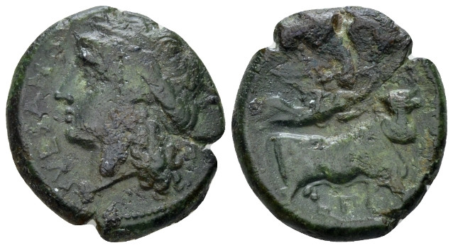 Campania , Suessa Bronze circa 265-240, Æ 21.00 mm., 5.99 g.
Laureate head of A...