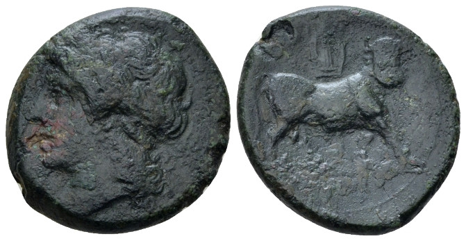 Campania , Teanum Sidicinum Bronze circa 265-240, Æ 22.00 mm., 6.25 g.
Laureate...