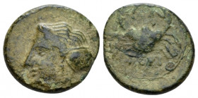 Bruttium, Terina Bronze circa 350-275, Æ 15.00 mm., 2.66 g.
Female head l. Rev. Crab. Holloway-Jenkins 121. Historia Numorum Italy 2646.

Very fine...