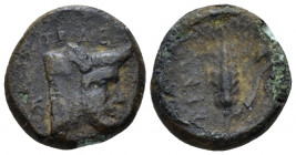 Bruttium, Uncertain mint Bronze circa 340-320, Æ 17.00 mm., 3.77 g.
Head of man-faced bull r. Rev. Barley ear. Morcom, Pour Denise 2. Historia Numoru...