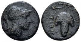Locri Opuntii, Locris Bronze II century BC, Æ 16.00 mm., 3.35 g.
Helmeted head of Athena r. Rev. Bunch of grapes; below [caduceus]. BMC 82. SNG Copen...