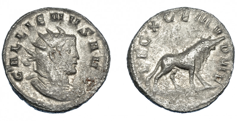IMPERIO ROMANO. GALIENO. Antoniniano. Mediolanum (258). A/ Busto radiado y acora...
