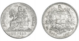 MONEDAS EXTRANJERAS. GUATEMALA. 1 peso. 1894. KM-210. MBC+.