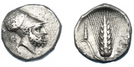 GRECIA ANTIGUA. LUCANIA. Metaponto. Didracma (360-300 a.C.). A/ Cabeza de Leucipo con casco a der., detrás cabeza de león. R/ Espiga, a izq. clava y A...