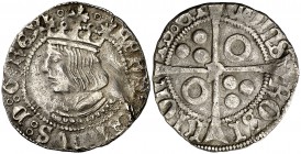 Ferran II (1479-1516). Perpinyà. Croat. (Cru.V.S. 1152) (Cru.C.G. 3072d). 3,08 g. Golpecito y grieta. Rara. MBC-.