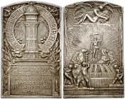 1904. (Cru.Medalles 976). 87,81 g. Plata. Rectangular, 70x43 mm. Firmado: O. Guillonnet-Stern. En canto "argent". Bella. Rara. EBC.