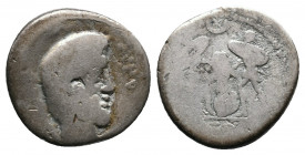 L. Titurius L.f. Sabinus AR Denarius Rome 89 BC. AV.: Head of the Sabine king Tatius right, [palm frond below chin?], SABIN downward to left, A • PV d...