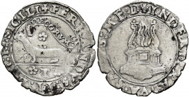 Napoli 
Ferdinando II d’Aragona, 1495-1496. Armellino, AR 1,40 g. Pannuti-Riccio 3. MIR 102. Vall-Llosera i Tarrés 298.
Raro. BB