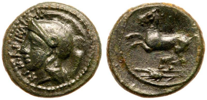 Sicily, Kamarina. &AElig; (3.09 g), ca. 339-317 BC. KAMAPINAI&Omega;N, Helmeted ...