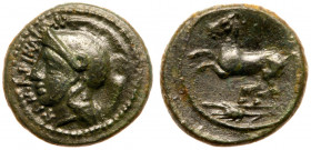 Sicily, Kamarina. &AElig; (3.09 g), ca. 339-317 BC. KAMAPINAI&Omega;N, Helmeted head of Athena left. Reverse: Horse prancing left; grain ear in exergu...