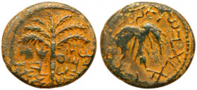 Judaea, Bar Kokhba Revolt. &AElig; Medium Bronze (9.25 g), 132-135 CE. Year 1 (132/3 CE). 'Simon, Prince of Israel' (Paleo-Hebrew), seven-branched pal...