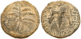 Judaea, Bar Kokhba Revolt. &AElig; Medium Bronze (9.27 g), 132-135 CE. Irregular issue. Year 1 (132/3 CE). 'Sma' (Paleo-Hebrew), six-branched palm tre...