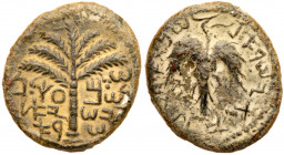 Judea, Bar Kokhba Revolt. AE Medium Bronze (10.34 g), 132-135 CE. Irregular issue. Year 1 (132/3 CE). 'Simon, Prince of Israel' (Paleo-Hebrew), seven-...