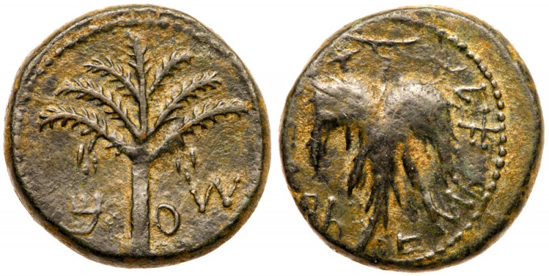 Judaea, Bar Kokhba Revolt. &AElig; Medium Bronze (13.74 g), 132-135 CE. Year 2 (...