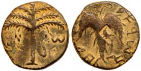 Judaea, Bar Kokhba Revolt. &AElig; Medium Bronze (6.69 g), 132-135 CE. Year 2 (133/4 CE). 'Sma' (abbreviating Simon; Paleo-Hebrew), seven-branched pal...