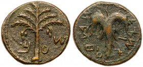 Judaea, Bar Kokhba Revolt. &AElig; Medium Bronze (13.88 g), 132-135 CE. Year 2 (133/4 CE). 'Sma' (abbreviating Simon; Paleo-Hebrew), seven-branched pa...