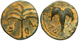 Judaea, Bar Kokhba Revolt. &AElig; Medium Bronze (6.99 g), 132-135 CE. Year 2 (133/4 CE). 'Sma' (abbreviating Simon; Paleo-Hebrew), seven-branched pal...