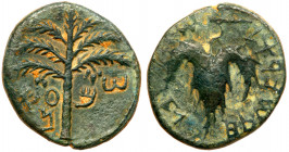 Judaea, Bar Kokhba Revolt. &AElig; Medium Bronze (10.38 g), 132-135 CE. Year 2 (133/4 CE). 'Sma' (abbreviating Simon; Paleo-Hebrew), seven-branched pa...