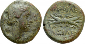 SICILY. Syracuse. Agathokles (317-289 BC). Ae