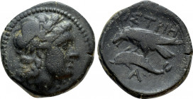 MOESIA. Istros. Ae (Circa 4th-2nd centuries BC)
