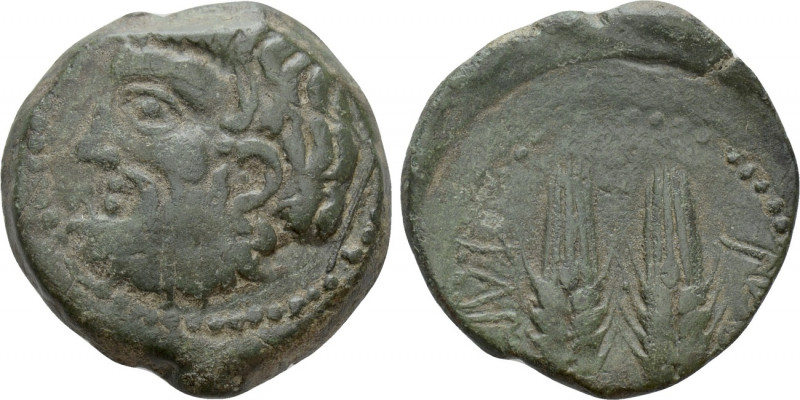 MAURETANIA. Tingi. Ae (2nd-1st century BC). 

Obv: Head of Baal-Melqart left....