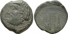 MAURETANIA. Tingi. Ae (2nd-1st century BC)