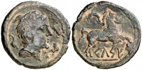 Celse (Velilla de Ebro). Semis. (FAB. 788) (ACIP. 1486). 4,53 g. Muy escasa. MBC.