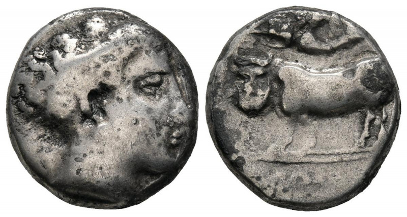 CAMPANIA, Neapolis. Didracma. (Ar. 7,05g/18mm). 395 a.C. (HN Italy 563). Anv: Ca...
