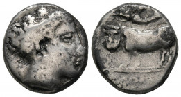 CAMPANIA, Neapolis. Didracma. (Ar. 7,05g/18mm). 395 a.C. (HN Italy 563). Anv: Cabeza femenina diademada a derecha. Rev: Toro con cabeza masculina mira...