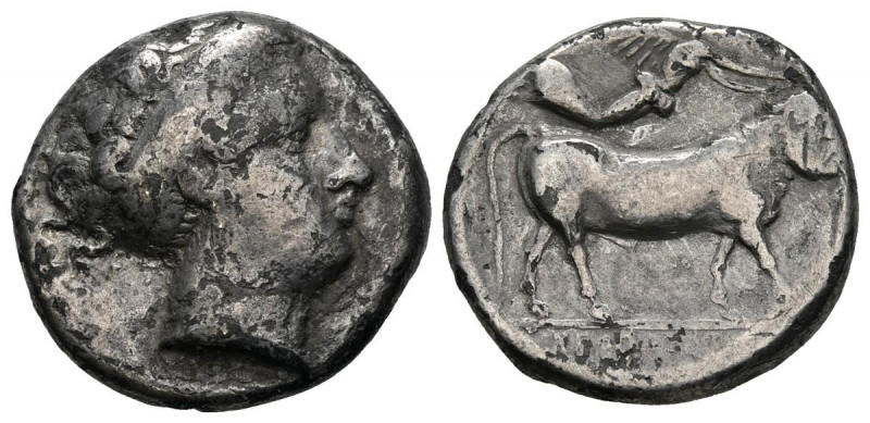 CAMPANIA, Neapolis. Didracma. (Ar. 6,70g/20mm). 300-250 a.C. (Sambon 47). Anv: C...