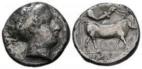 CAMPANIA, Neapolis. Didracma. (Ar. 6,70g/20mm). 300-250 a.C. (Sambon 47). Anv: Cabeza femenina diademada a derecha. Rev: Toro con cabeza masculina mir...